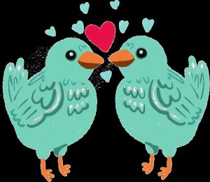 loveBirds